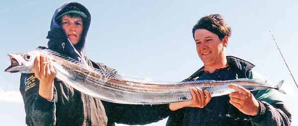 A good speciman of a Bumble Town Whitebait; caught on a rod using a concoction of freshly rolled BS supplied by the movers and shakers of the Bumble Town Business Ass.