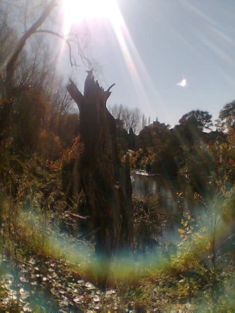 Several Long-lines are set across the Blackwater Stream, below the remains of the Light Traveller Bah-imamess-ok.