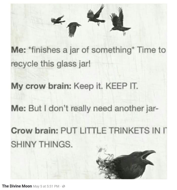 Having a crow brain can make for some happiness. But too strong a hoarding tendency is often born of fear. Which motive is yours?