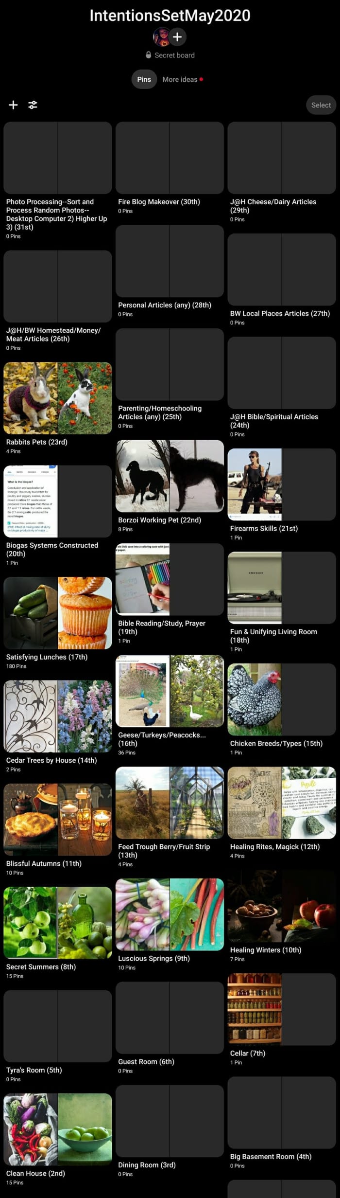 In May, I focused on pets and livestock, personal skills, and writing projects which had gone by the wayside. Changing seasons, too, are a constant delight and challenge for me.