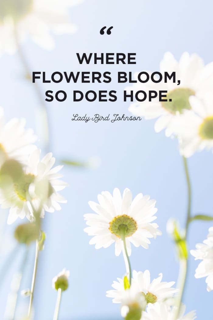 Flowers : A Poem .... With Quotes and Thoughts on the Blooming ...