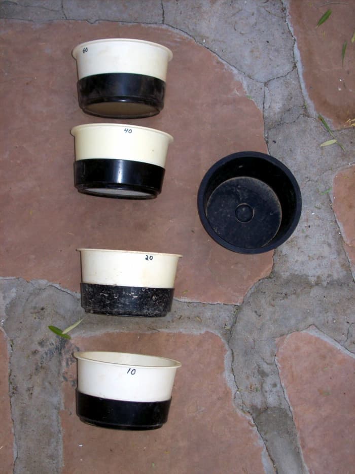 These classifiers range from 60 mesh down to 10 mesh and have black buckets for retrieval. These are my personal classifiers. My set has more solid tubs, but I bought them at a gold show in Mesa, Arizona.