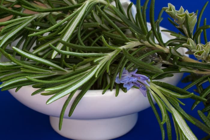 Rosemary has the ability to boost your mood and energy levels—it's a great tonic for students studying for exams