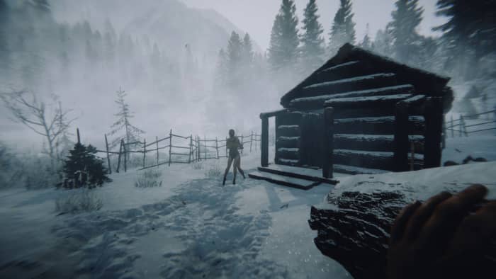 From blending in to shooting them down, Sons of the Forest features new types of gameplay