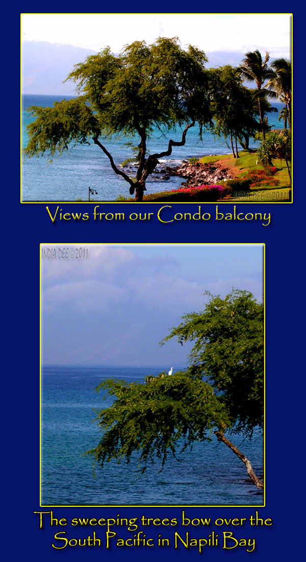 To call this view landscape would be an insult. These Napili Bay sights are that which make hearts discover the missing love in the world.