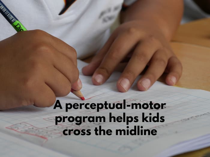The activities that children do during a perceptual-motor program help them with their academic work.