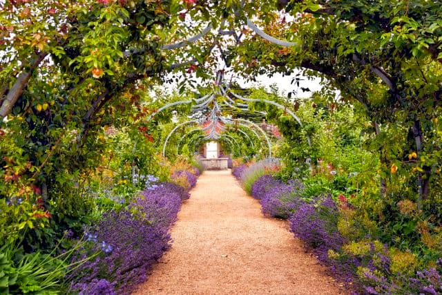 Garden imagery is associated with the House of Pentacles. Hard work translates into fruits and material gain. Pentacles are attracted to wealth, health, and beauty.