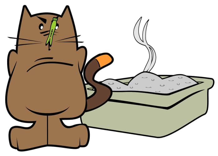 How to Have a Stink Free Litter Box HubPages