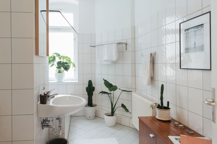 Keep adding pottery and rocks into a bathroom for earth feng shui. Images of mountains, caves, and crag will also help.