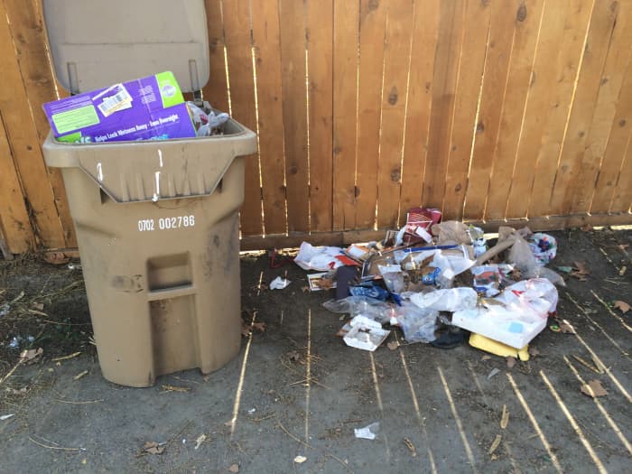 3 Pros and 4 Cons of Having a House With an Alleyway ToughNickel