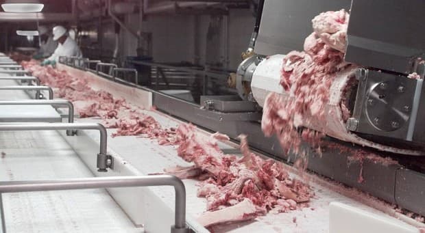 BFI's pink slime process - Does anyone really want to eat this stuff?