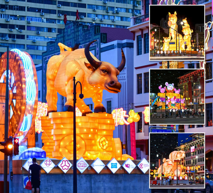 The incoming Chinese Zodiac animal for the New Year is always showcased at the Chinatown festive Light-Up. The showpiece for this picture is that for Year of the Ox 2021.