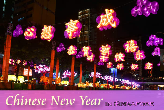 Chinese New Year in Singapore is a fascinating display of red, gold, and enchanting street decorations.