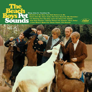 One of the most groundbreaking albums of its time, Pet Sounds contained a mixture of many experimental sounds and harmonies in its songs.