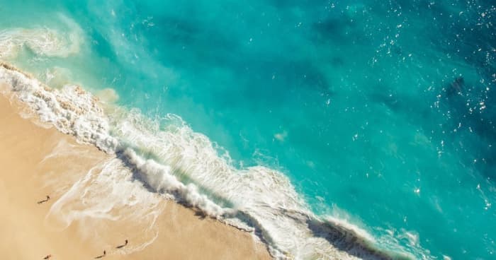 Water is where life begins on our planet. Everything starts from tiny, single cell organisms. Over huge stretches of time life diversifies.