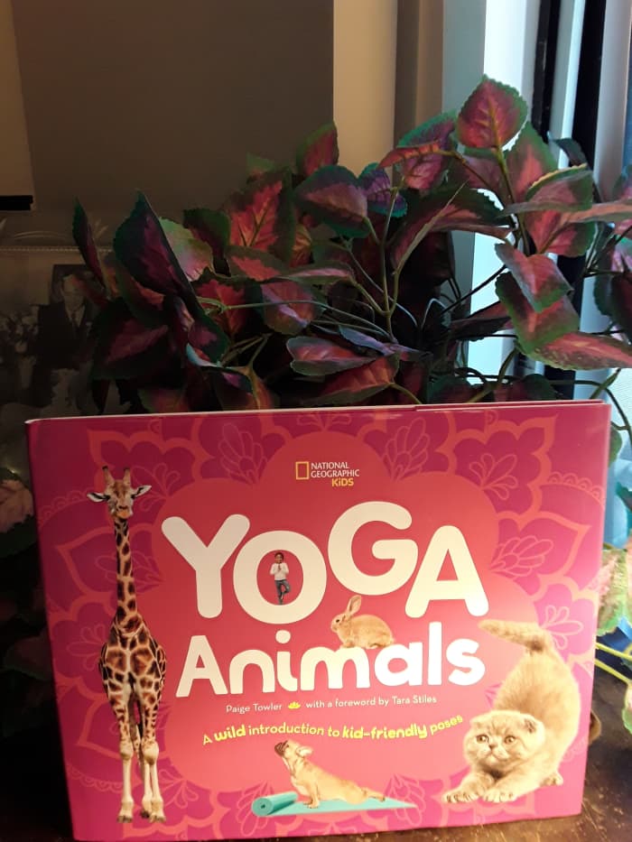 great photos of fun yoga poses with your favorite animals