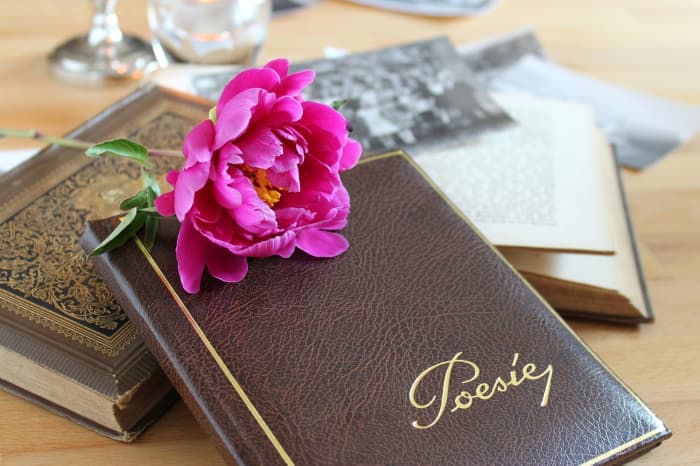 Poetry Is Like Love, where Our Ability to Love Doesn't Necessarily Make Us Good Lovers in Others' Eyes.-- Val Karas