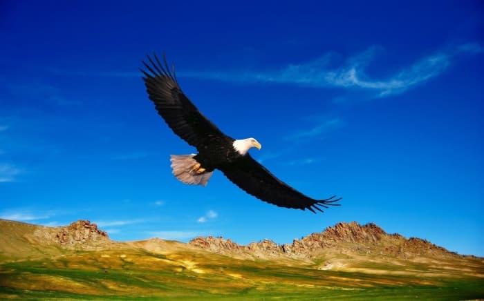 Spread your wings after you change and let your beauty show. Alberto Villoldo.