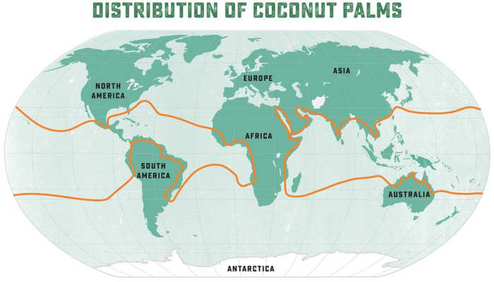 Map of where coconuts grow