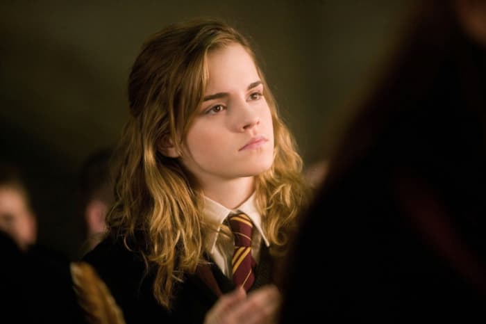 She was supposed to be a Ravenclaw. She has the knowledge and the beauty. She often was made fun of for being the know-it-all.