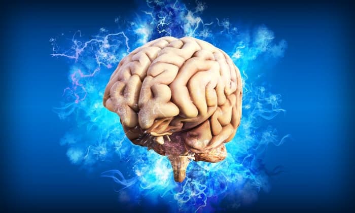 People with Highly Superior Autobiographical Memory have a higher than usual ability to fantasize and immerse themselves in activities.
