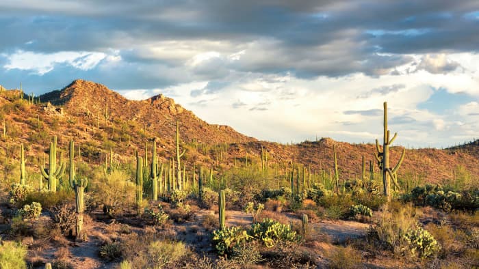 Best Tourist Attractions in Arizona - HubPages