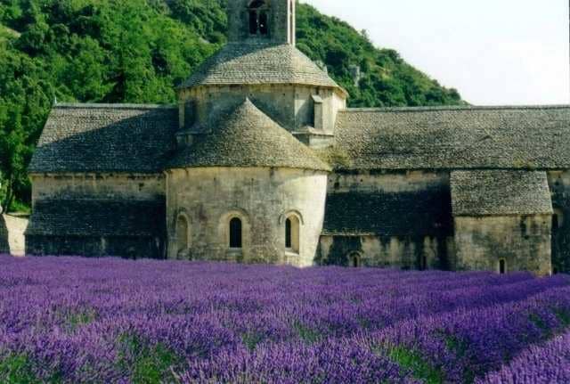 Provence evokes images of fields of beautiful purple flowers, which is due to the enormous amount of lavender that is grown here. Provence is also famous of its exquisite wine.