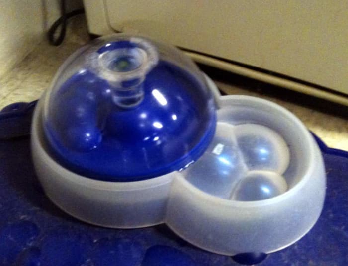 Chip's new water dish has made drinking water an easy-to-understand process. It also keeps his water clean and fresh.