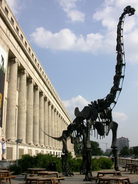 The "Evolving Planet" exhibit at the Field Museum takes visitors through a journey of 4 billion years of life of Earth.
