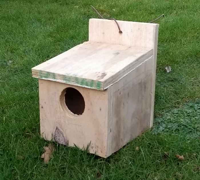 How to Build a Nest Box for Robins From Scrap Timber Dengarden