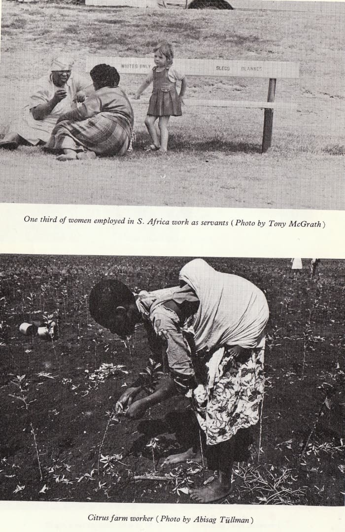 African woman laboring in a citrus with a baby on her back. Many african women worked as domestic servants, others as slaves as seen below with the woman in the citrus field