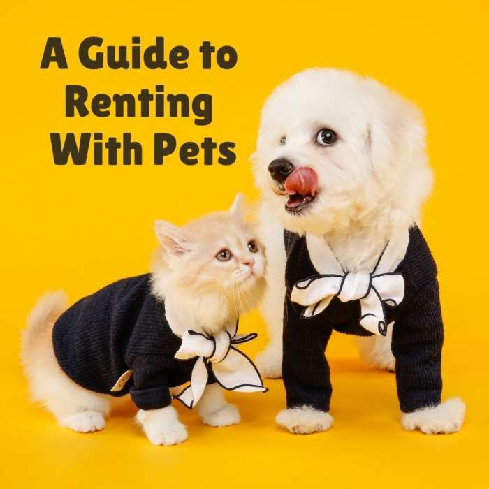 It can be challenging to find a home to rent when you have a pet—here's how you can make it easier to find the right place.