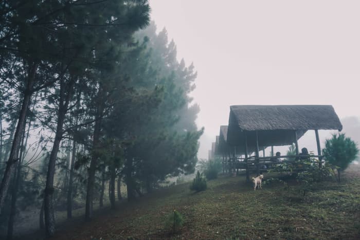 on-our-way-to-the-so-called-little-baguio-of-salay