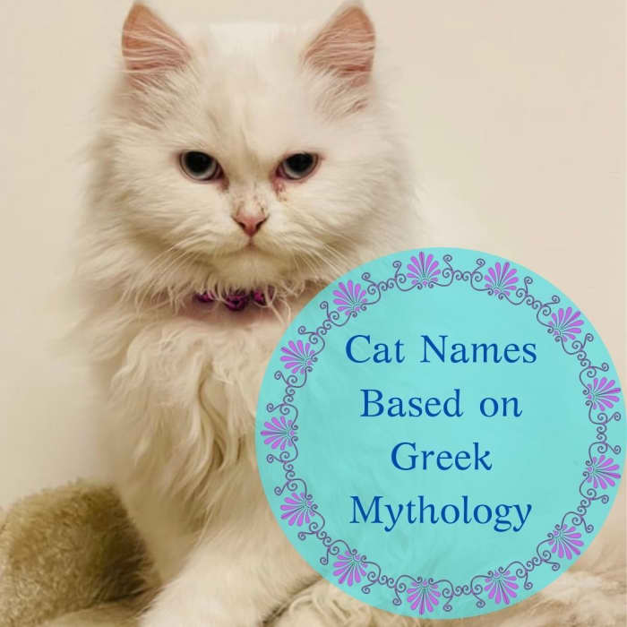 Cat Names Based On Greek Mythology