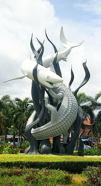 In local dialect the word 'Sura' means shark and 'baya' means crocodile. It is local legend that these two beasts fought for supremacy.