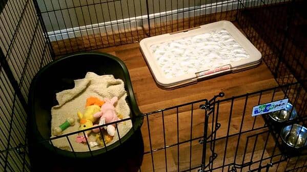 Great Puppy Playpen Set-up