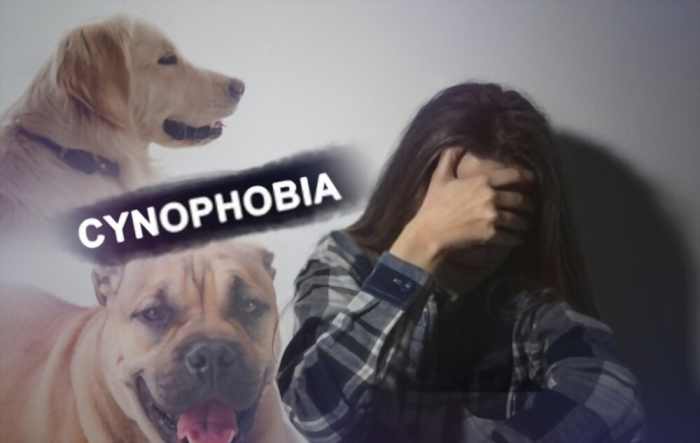 Cynophobia
