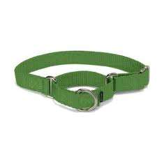 Martingale collars, popular at first with sight hounds, now crossing the board for use in all sorts of breeds. Trainers find them to be a softer way of correction compared to choke collars.