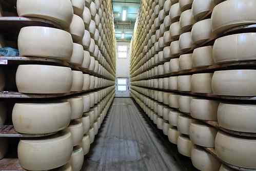 Parmesan quietly matures.