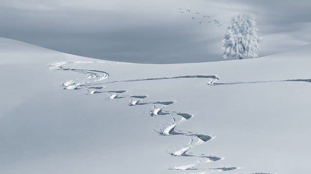 A dream pillow can connect us to our garden when nature is slumbering beneath winter's snow.