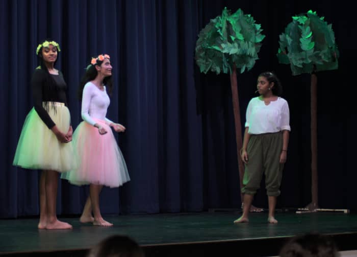 Theater production of Midsummer's Night Dream All images copyright of Franklin Academy