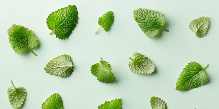 To get that minty fresh taste you don't have to use a popular name brand toothpaste. There are vegan friendly toothpastes that taste great, are affordable, and are not tested on animals. Try vegan products to feel more humane.