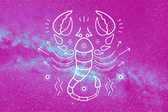 Not everything is rainbows and fairy tales for Scorpio. In fact, they would prefer people be real. They want to face what is scary and they want to take risks.