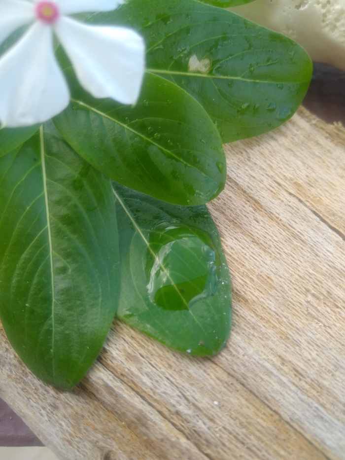 Drop of my Silky DIY HA Serum 