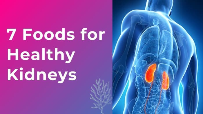 Top 7 Foods for Healthy Kidneys - HubPages