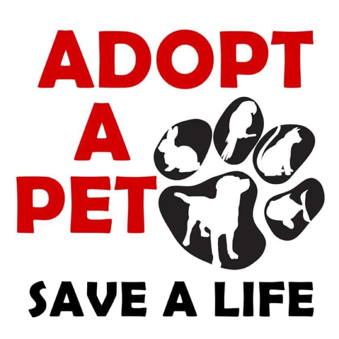 You don't have to be a leader to save the world, just adopt a pet, and then you'll experience unforgetful heaven for both of you.
