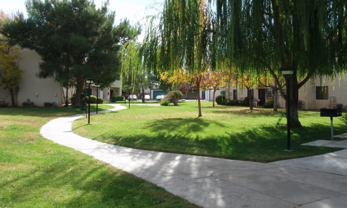 Extensive lawns don't belong in a desert, especially when irrigation systems are not well maintained. Where the pipes leaked under the big shade tree on the left, mushrooms sprouted regularly.