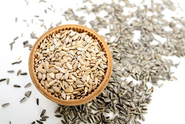 Women eat Sunflower seeds in folk magick when they wish to conceive a child.