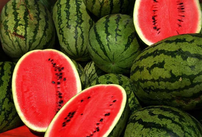 Nothing tastes sweeter than watermelon fresh from your garden patch!