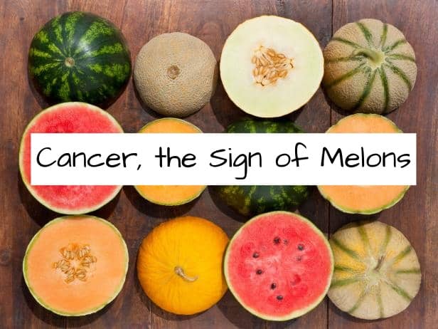 What fruit represents the zodiacal sign Cancer more than melons? They're the perfect summer fruit. They come in different colors. Melons are round like the moon and taste sweet like candy.